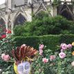 This one is at the Notre Dame Cathedral